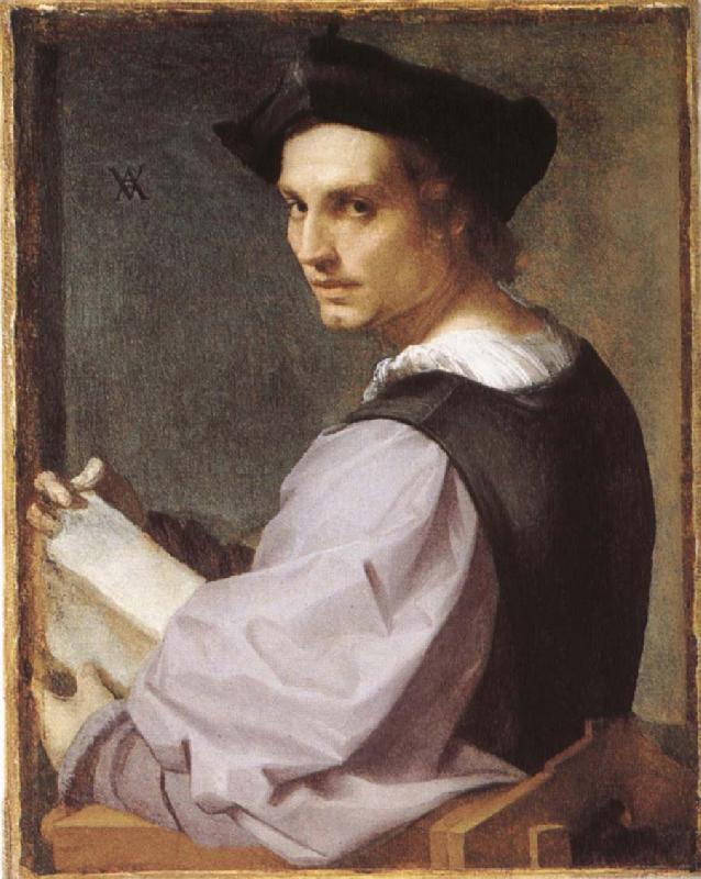 Andrea del Sarto Portratt of young man oil painting image
